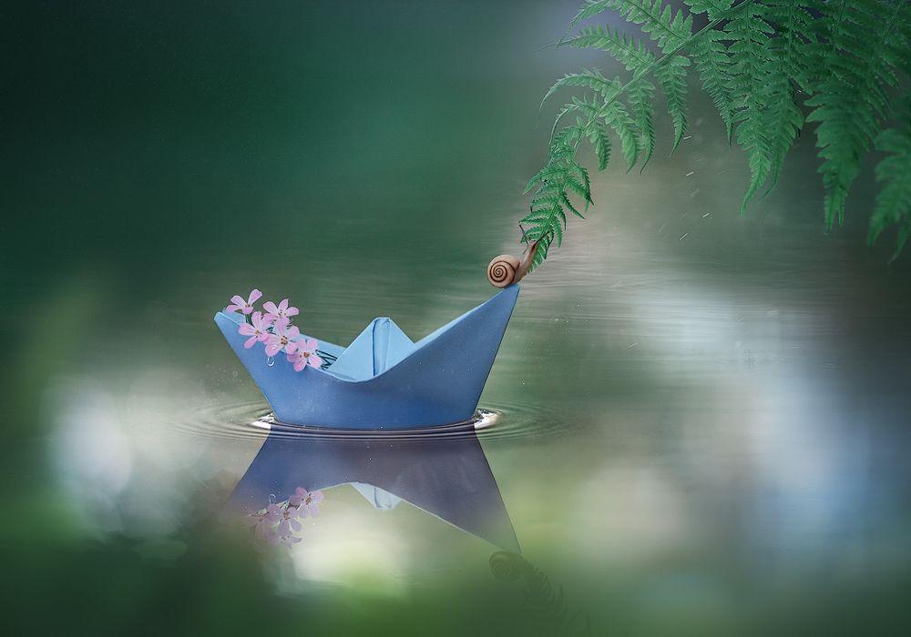 "Где мира чистота"