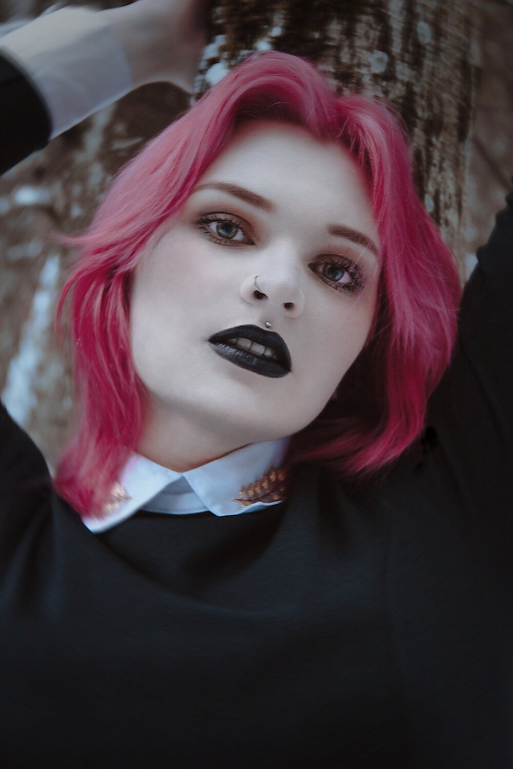 Photo #3037410