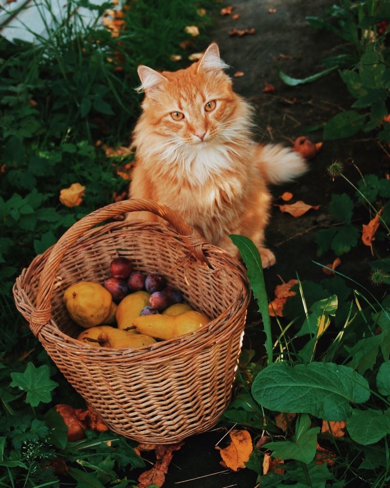 Photograph by Наталья Ледяева