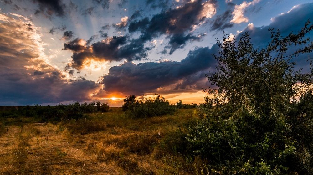 После дождя