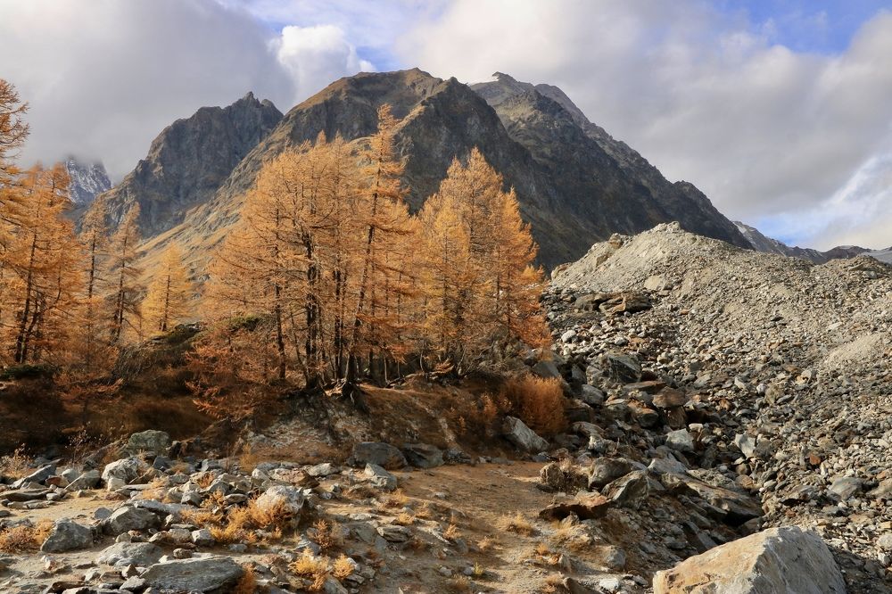 Рыжая осень