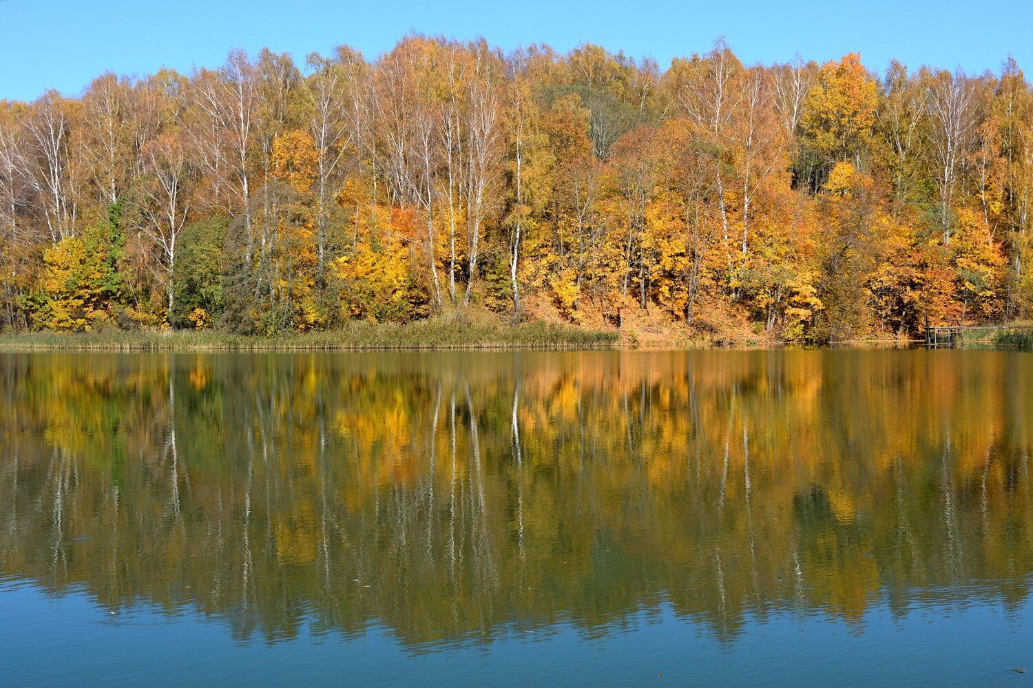 Золотая осень