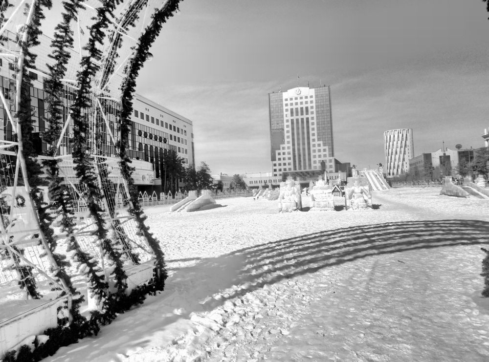 Черно-белое 2