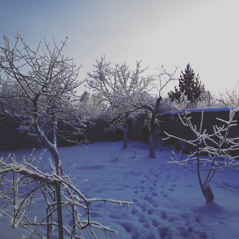 Внутренний дворик