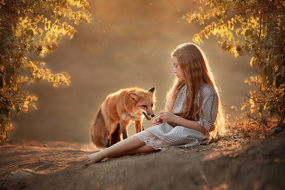 Осенняя история