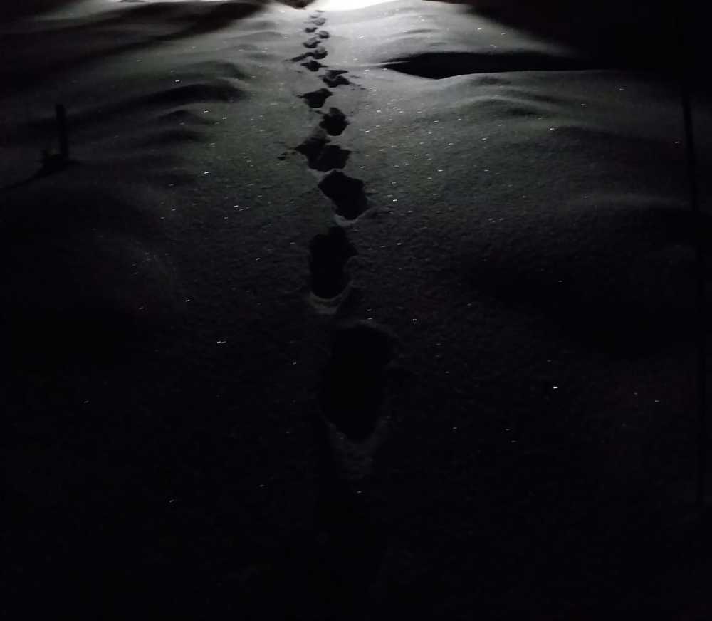 Бриллиантовые дороги