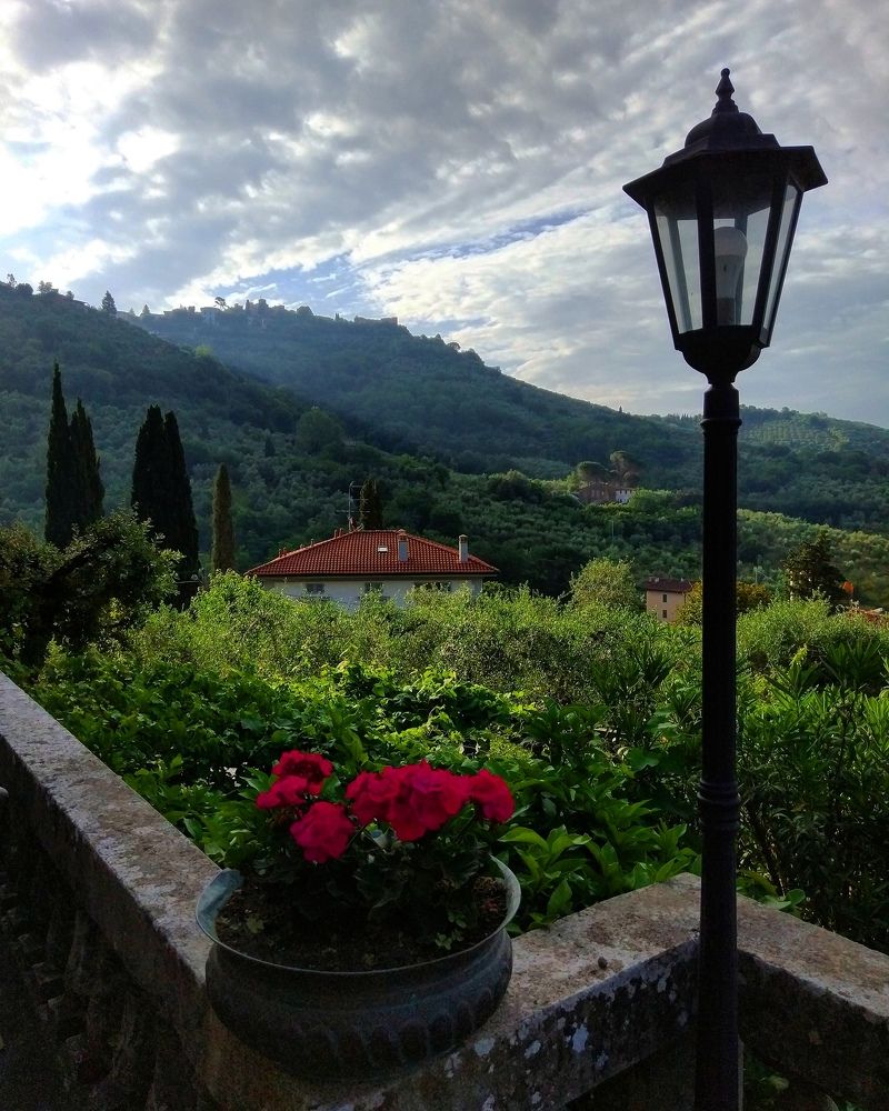 Горная безмятежность