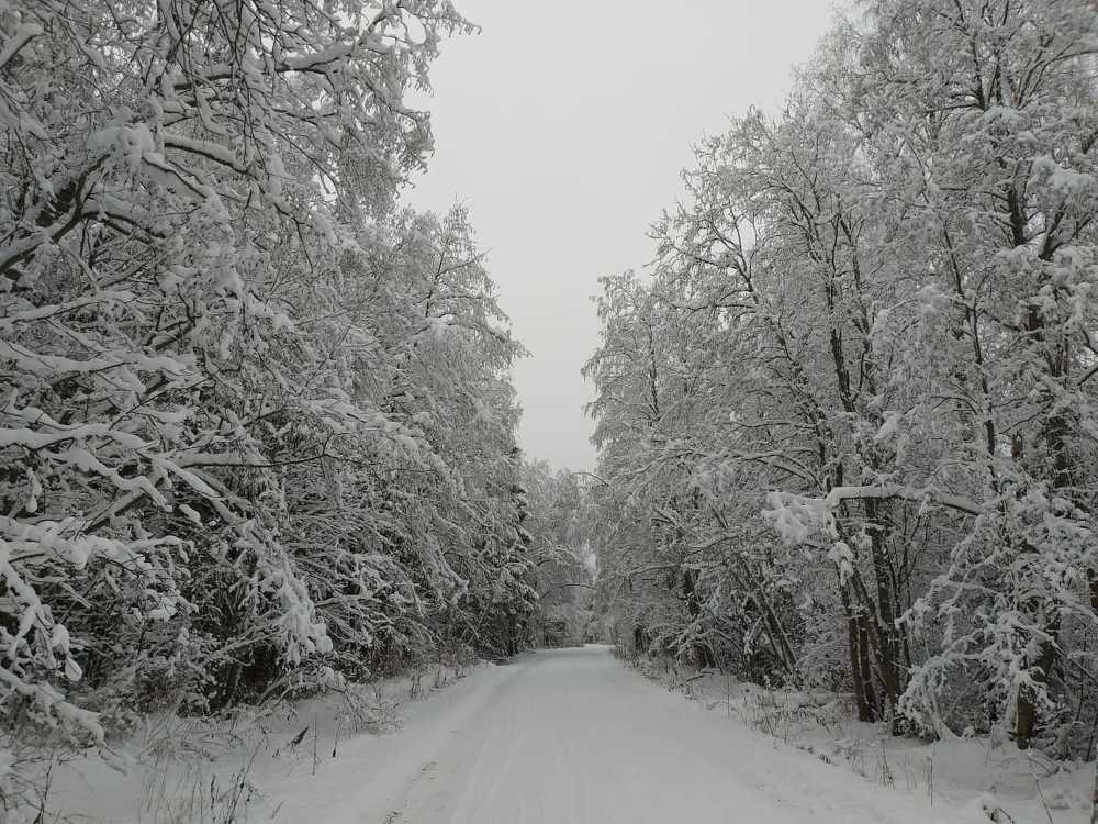 Зимняя дорога.
