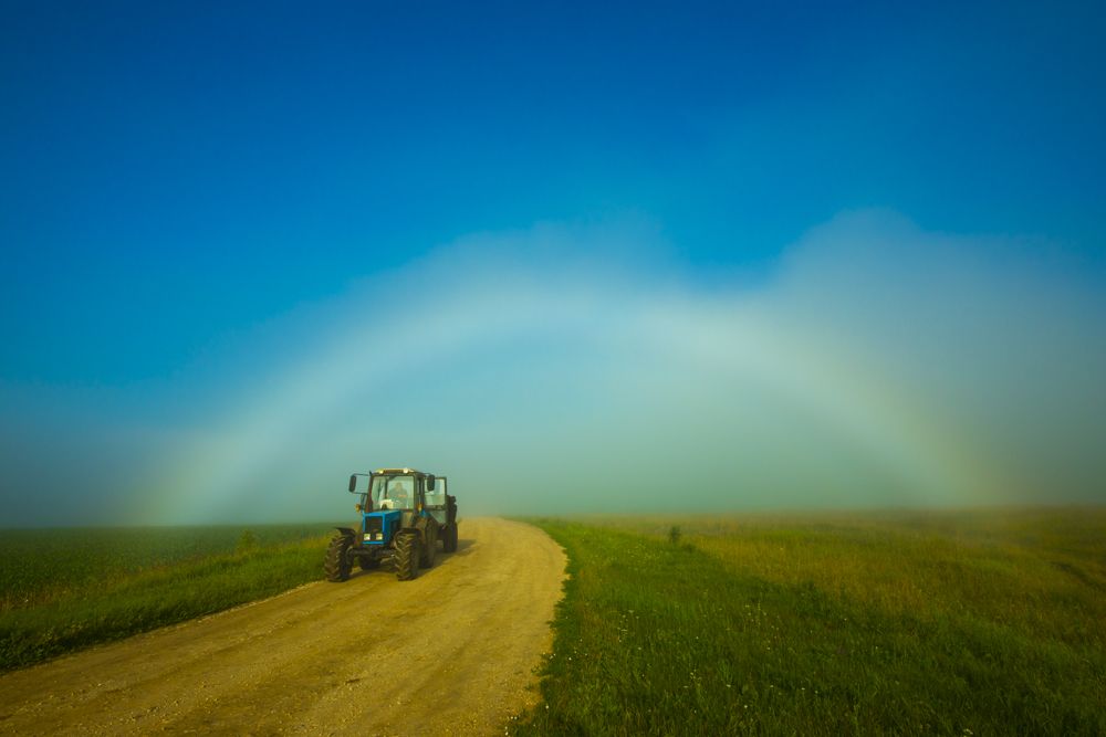 Под радугой