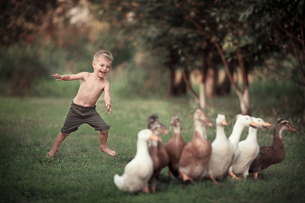 Лето в деревне