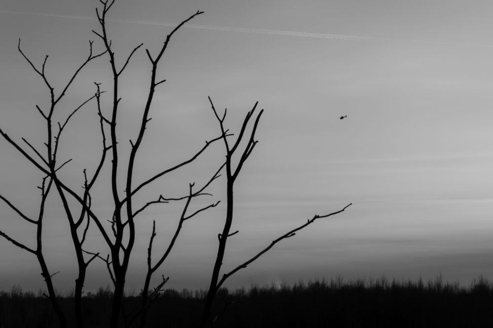 Сила природы.