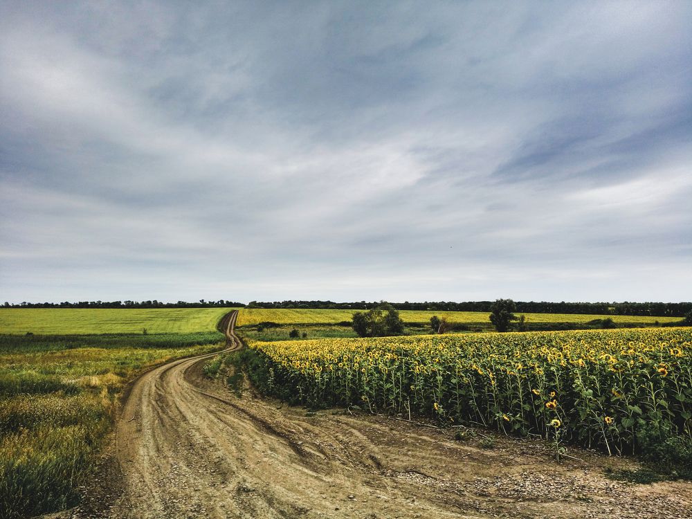 Photograph by Валерий Землин