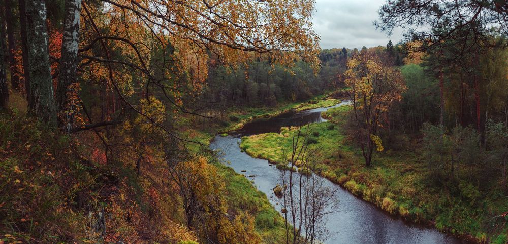 Осенние мотивы