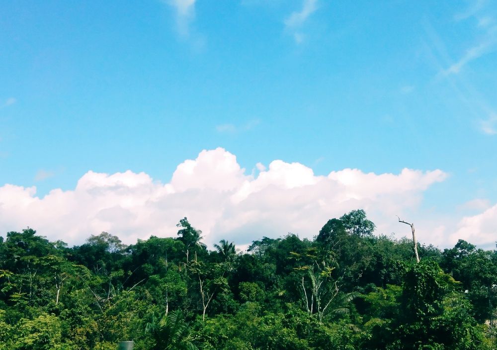 Nature