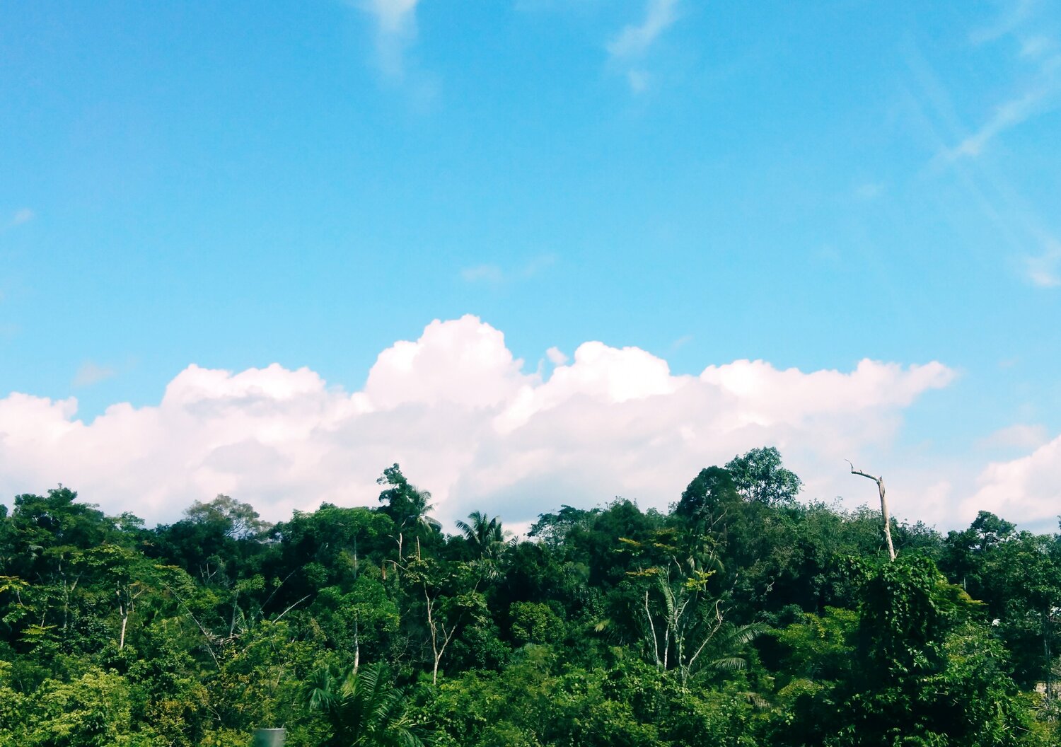 Nature