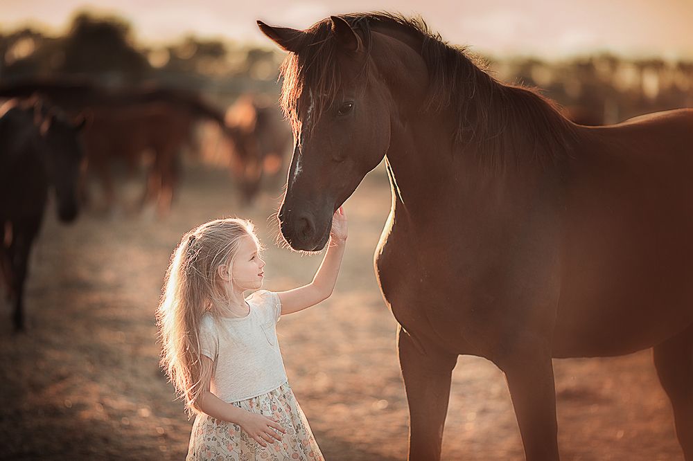 Photograph by Валерия Король