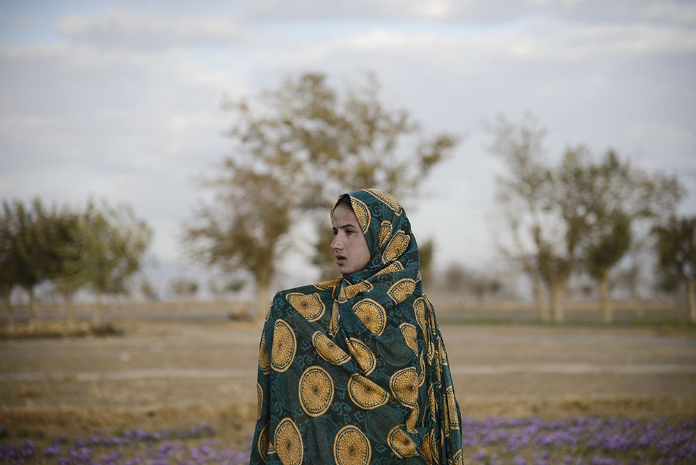 Photograph by sara jafari