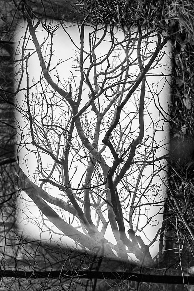 Photograph by Maria Koval