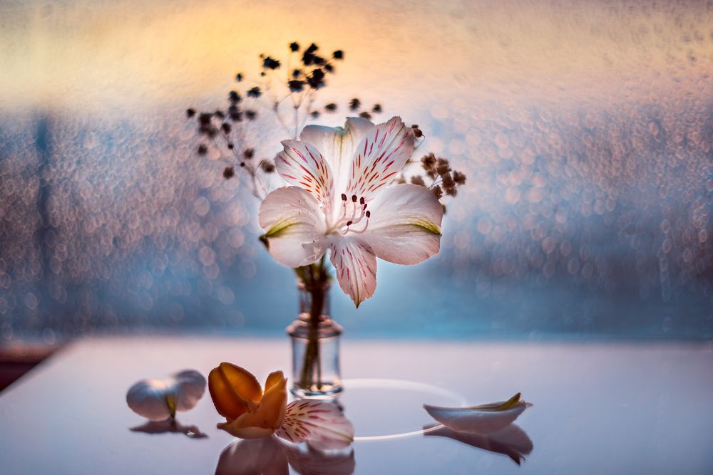 Photograph by Юлия (Метафора Души) Кузьменко