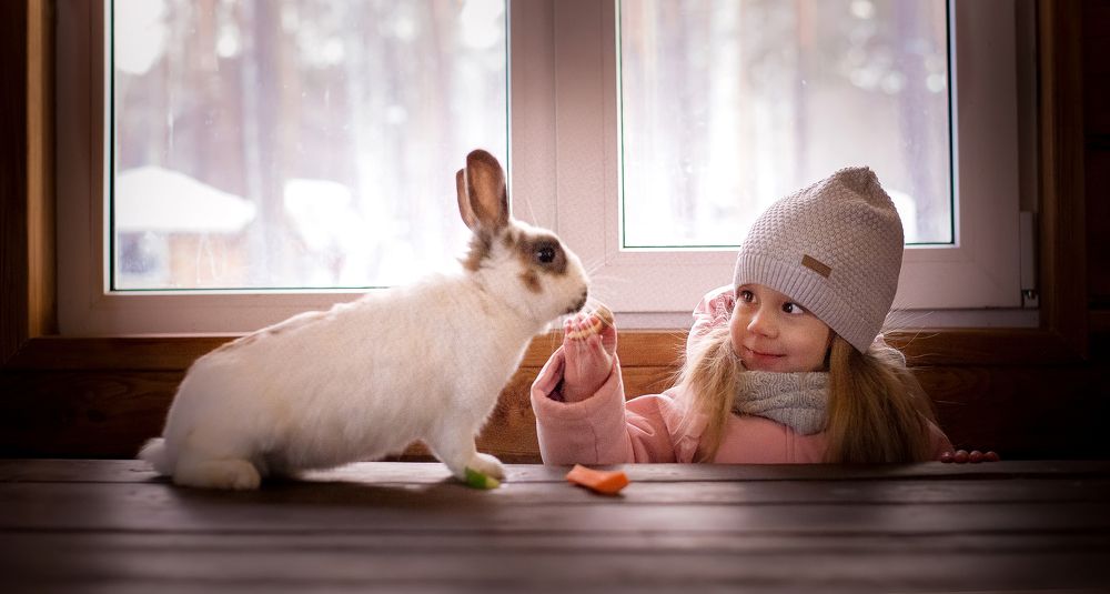 Посиделки с другом