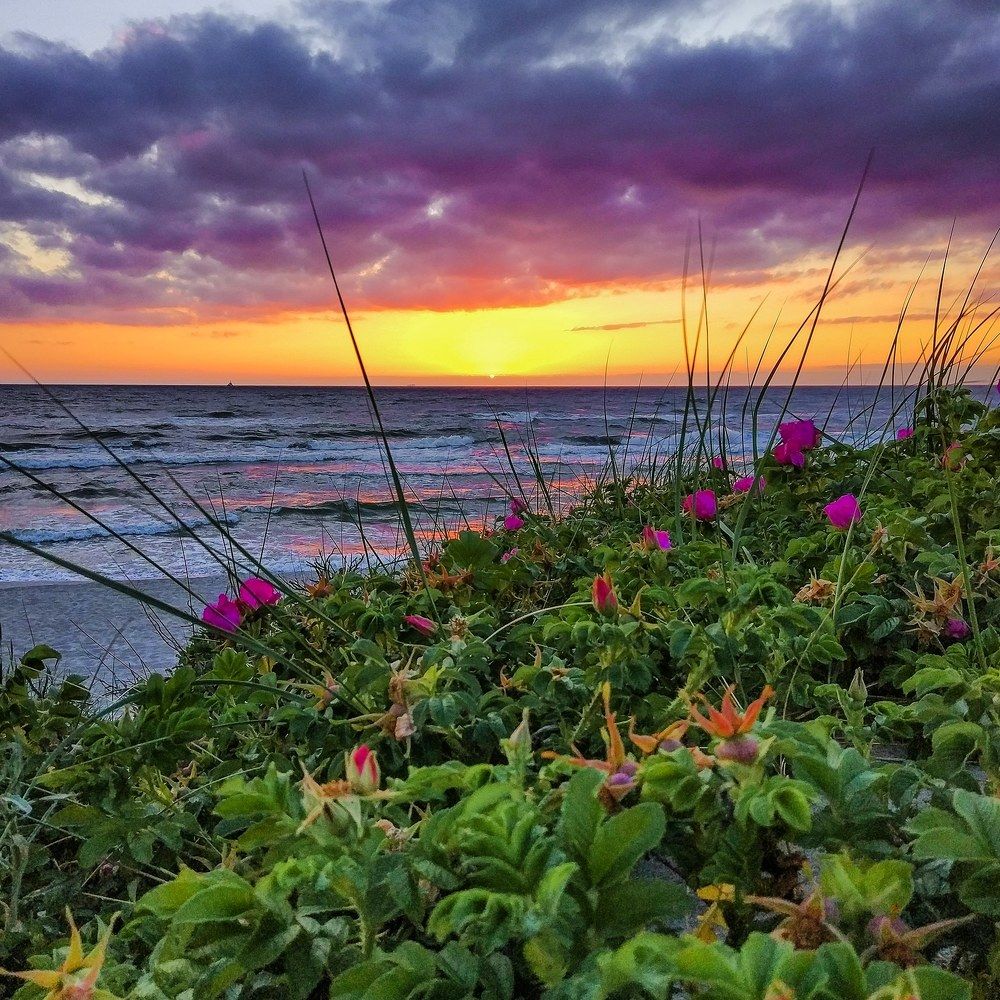 Балтийские закаты