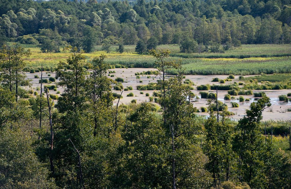 Подмосковье заповедное
