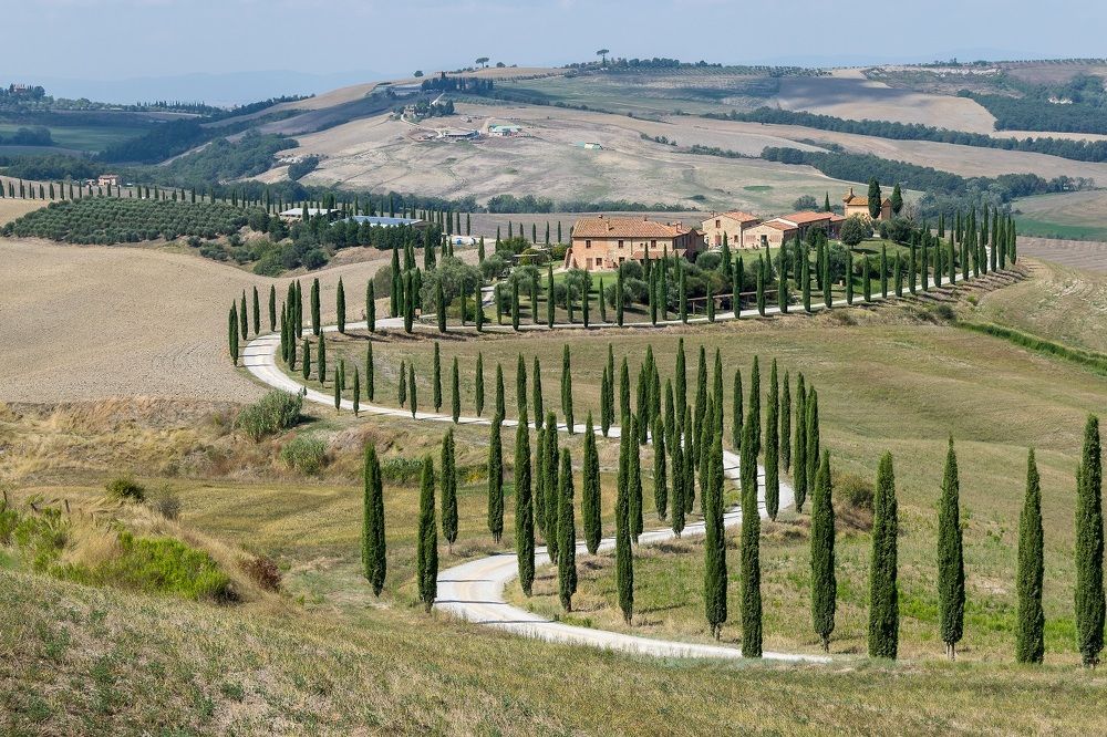 Фотография автора Андрей Симонов