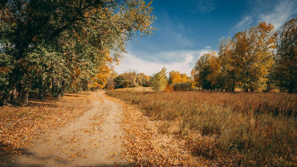 50 оттенков осени