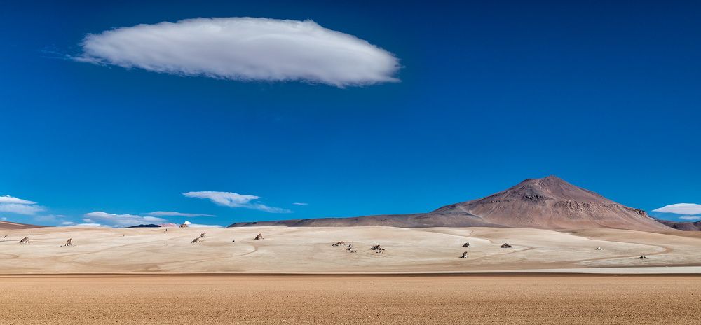 Сны Альтиплано