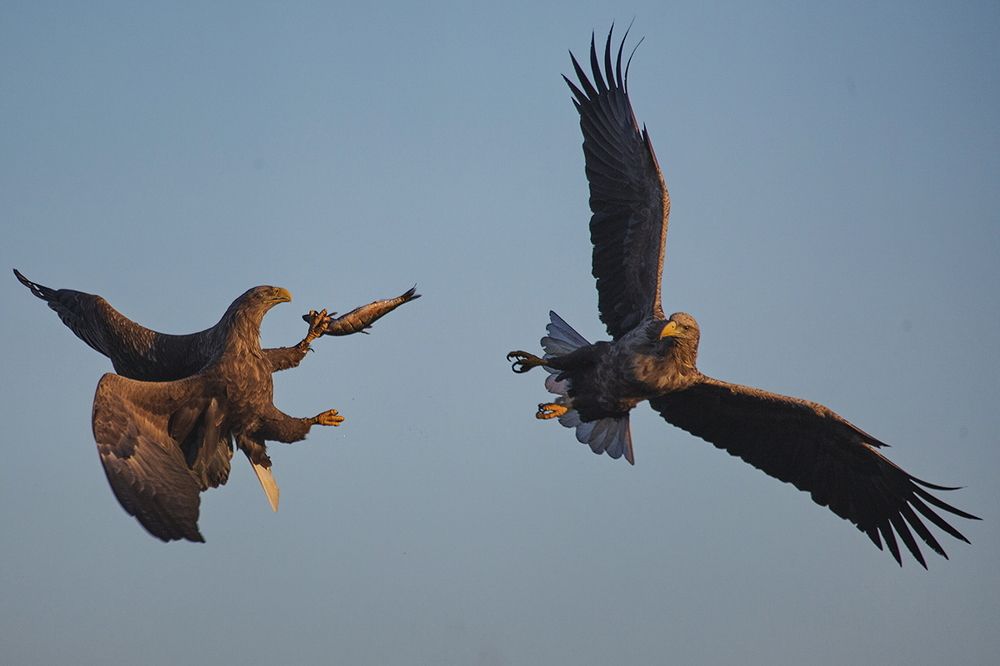 В полете вам будет предложен завтрак!