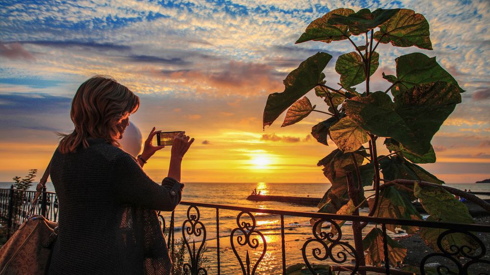 Устремлённая к Солнцу