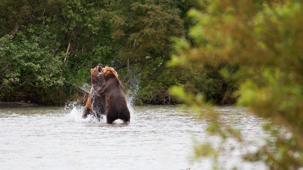Скажите Аааарр..