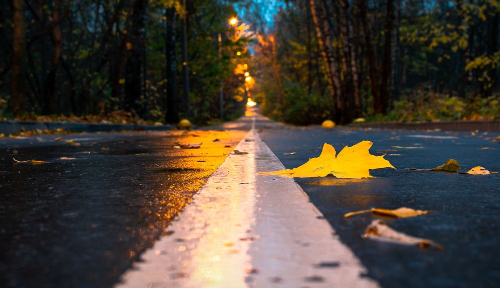 Дорога в зиму.