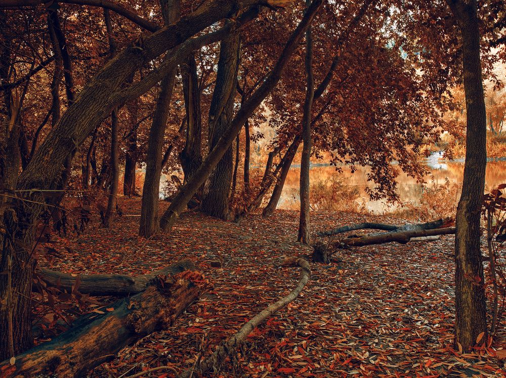 Осеннее настроение