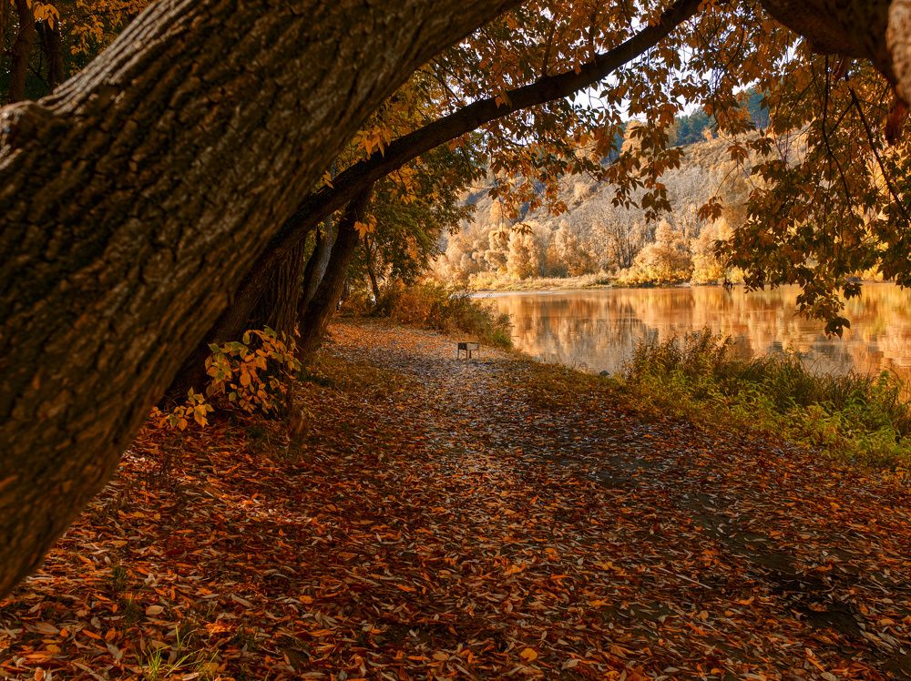 Конец сезона