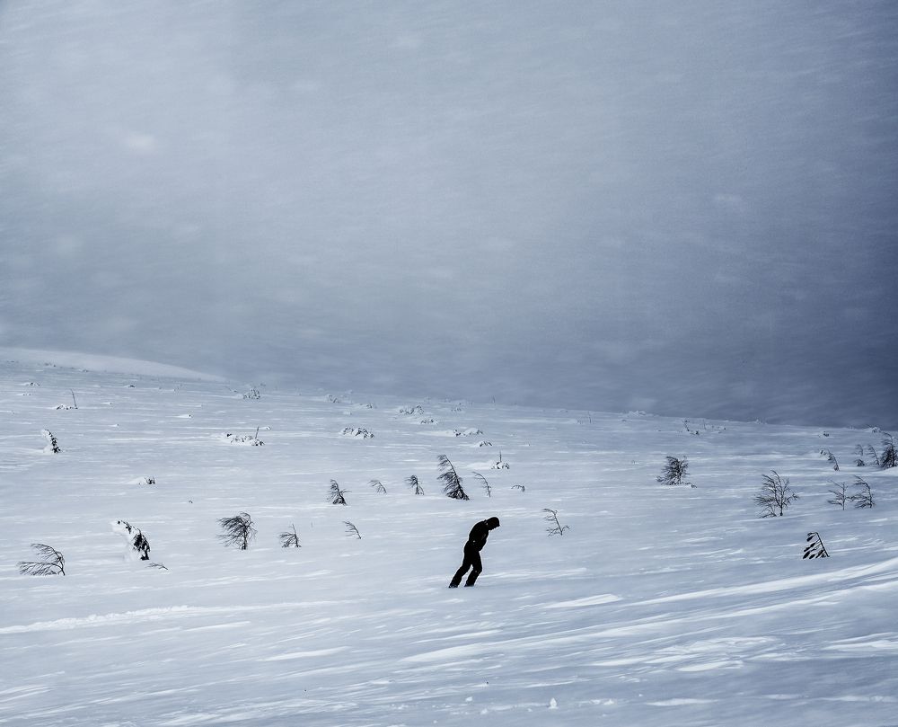 Сквозь буран