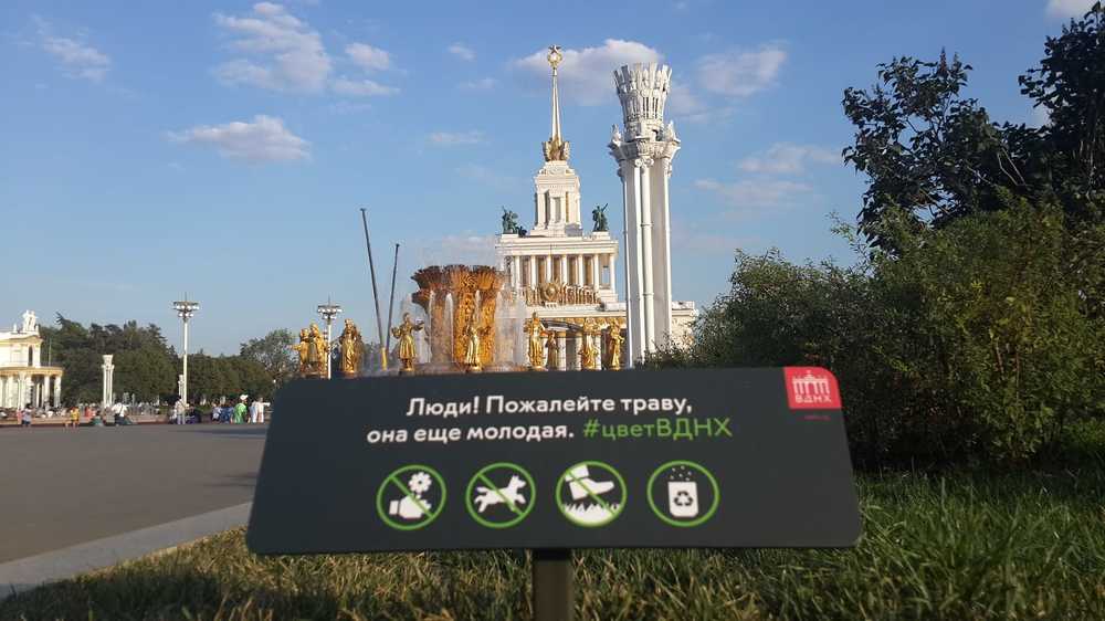 Have pity on the grass / Пожалейте травку