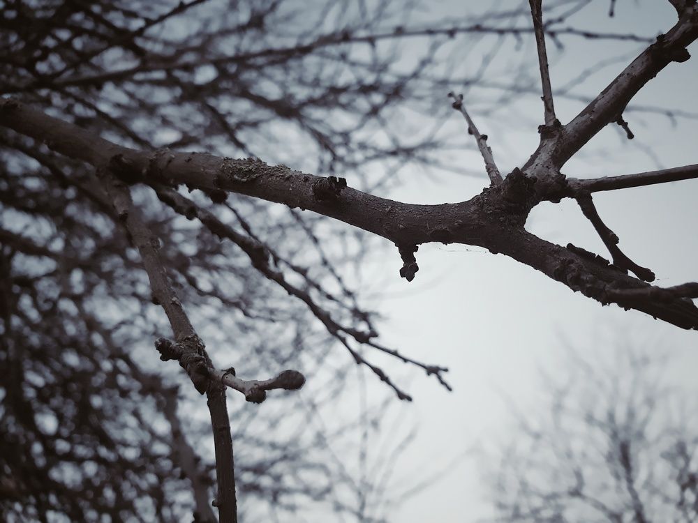 It's cold
