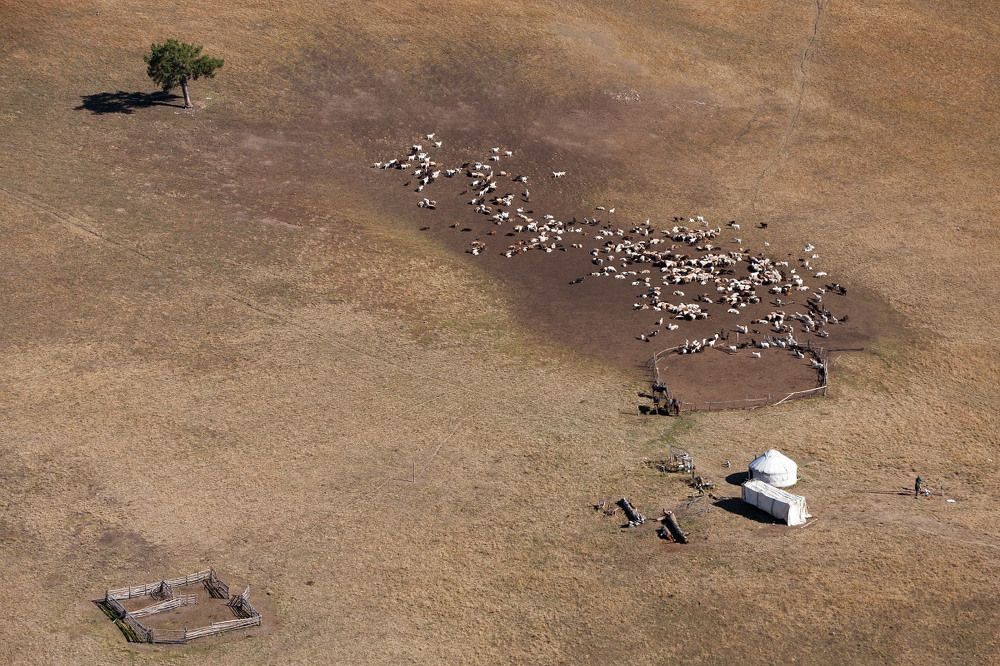 Жизнь кочевников