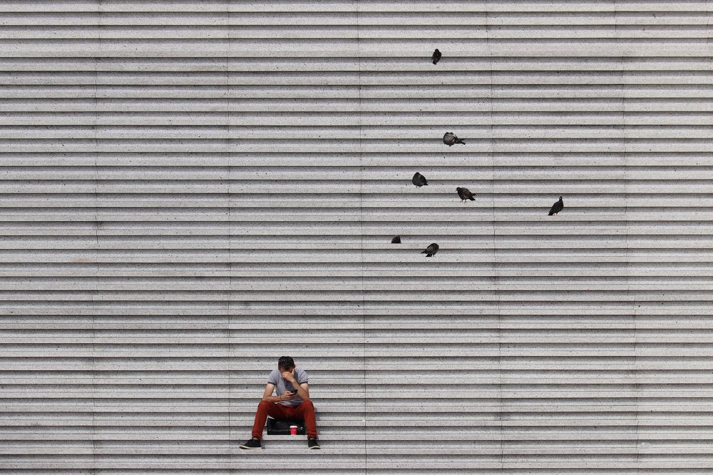 Sheet music for men and pigeons