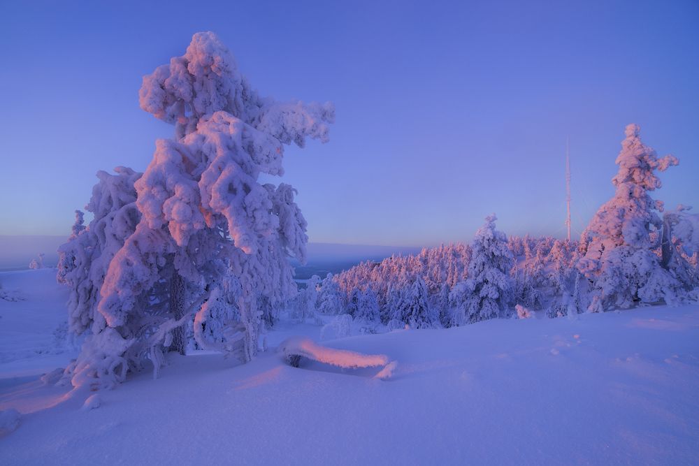 Сахарная вата.