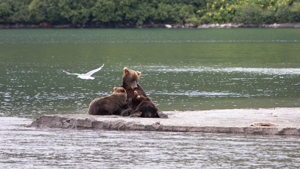 Мамино тепло и ласка