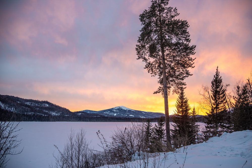 Зимний берег озера