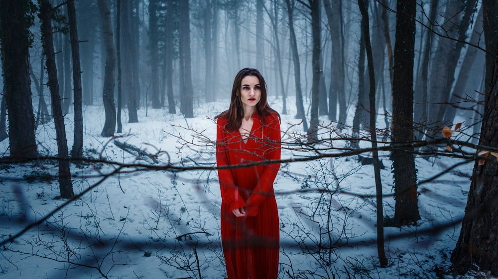 Серия "Леденящая кровь"