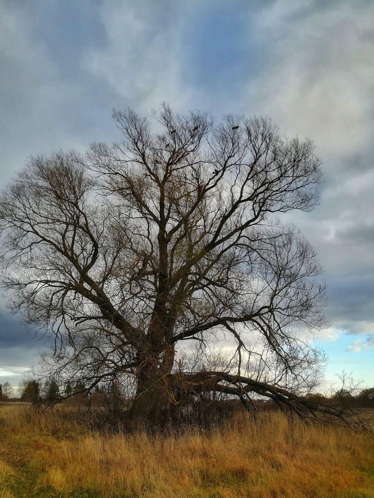В одиночестве