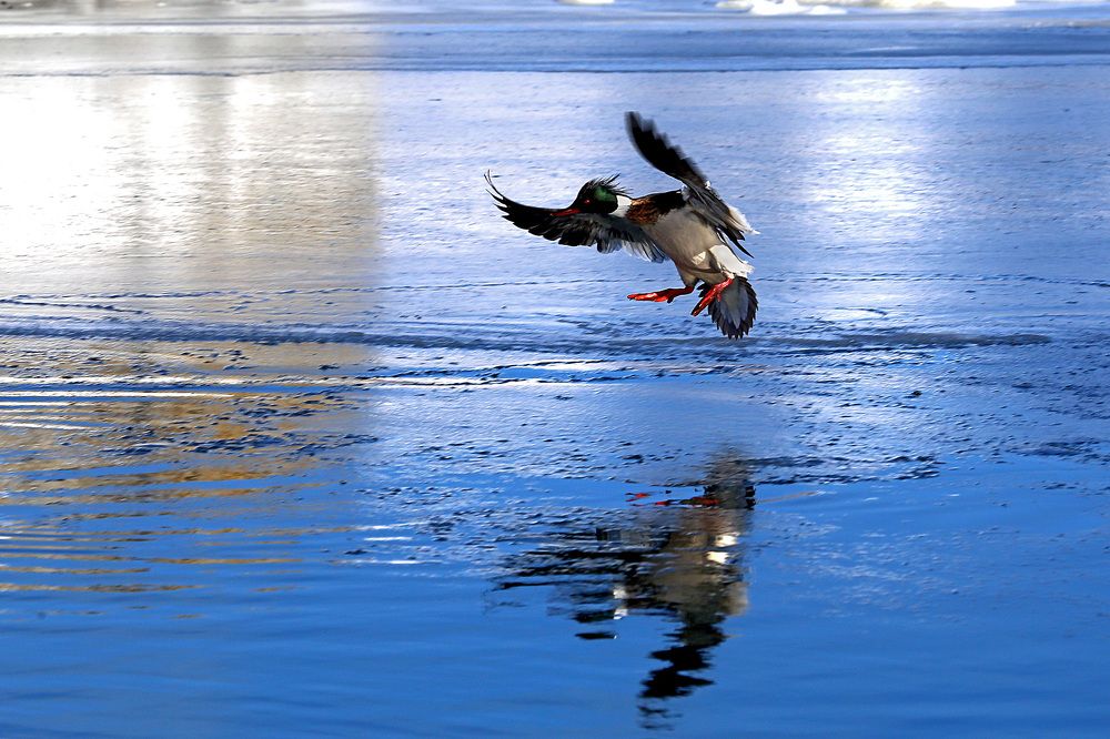 На посадку..