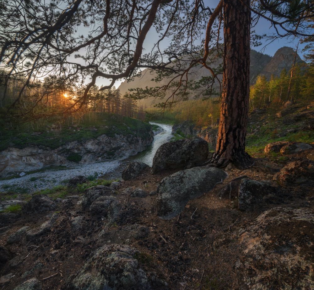 Тихий вечер на Алле