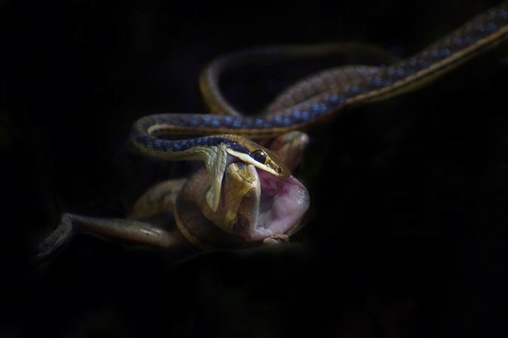 Sorry for  killing you.. I have to think for myself otherwise I'm gonna die.