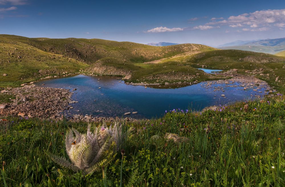 Лето в ущелье Тургень