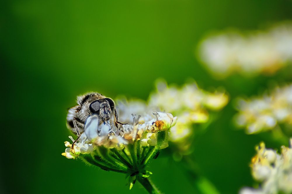 Фотография автора Игорь Иванов